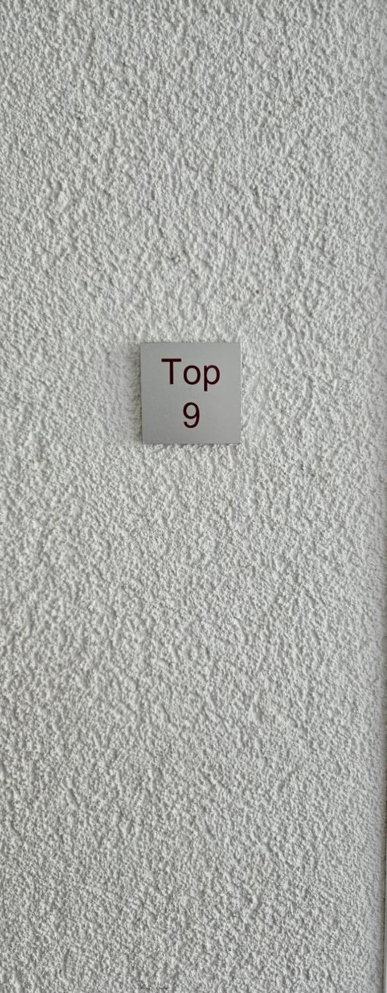 Damuelser Horn Quarto foto